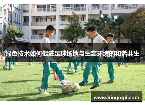 绿色技术如何促进足球场地与生态环境的和谐共生