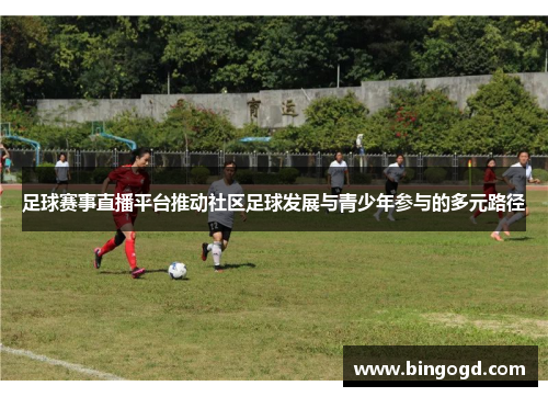 足球赛事直播平台推动社区足球发展与青少年参与的多元路径