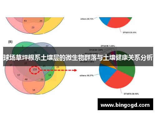 球场草坪根系土壤层的微生物群落与土壤健康关系分析